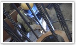 �Y���⋭�ؗn�ڍ��