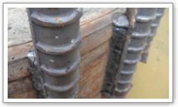 �i�|�a�`�q�n�ځ@�{�H��